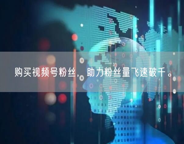 购买视频号粉丝,助力粉丝量飞速破千。