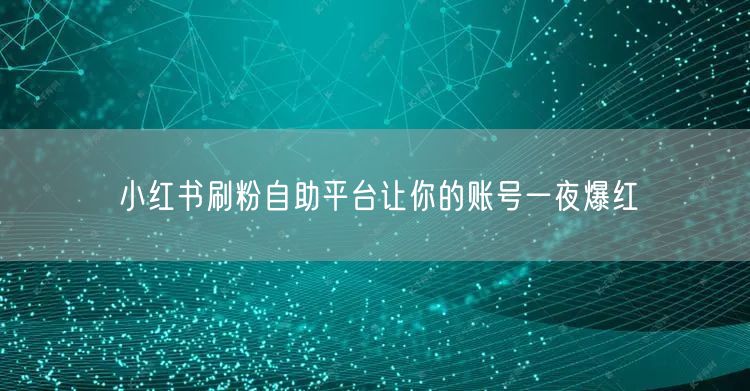小红书刷粉自助平台让你的账号一夜爆红