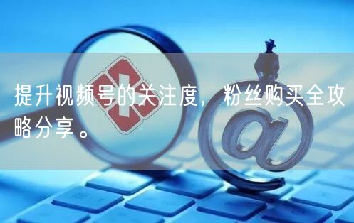 提升视频号的关注度,粉丝购买全攻略分享。