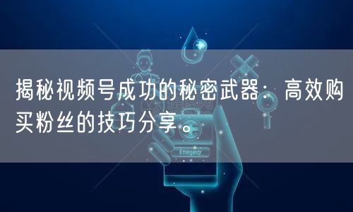 揭秘视频号成功的秘密武器:高效购买粉丝的技巧分享。