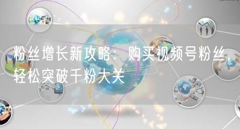 粉丝增长新攻略:购买视频号粉丝,轻松突破千粉大关