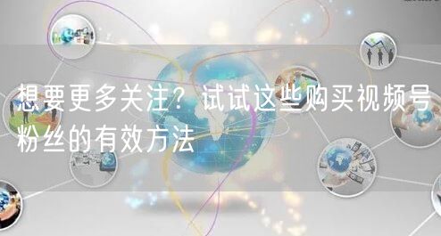 想要更多关注?试试这些购买视频号粉丝的有效方法