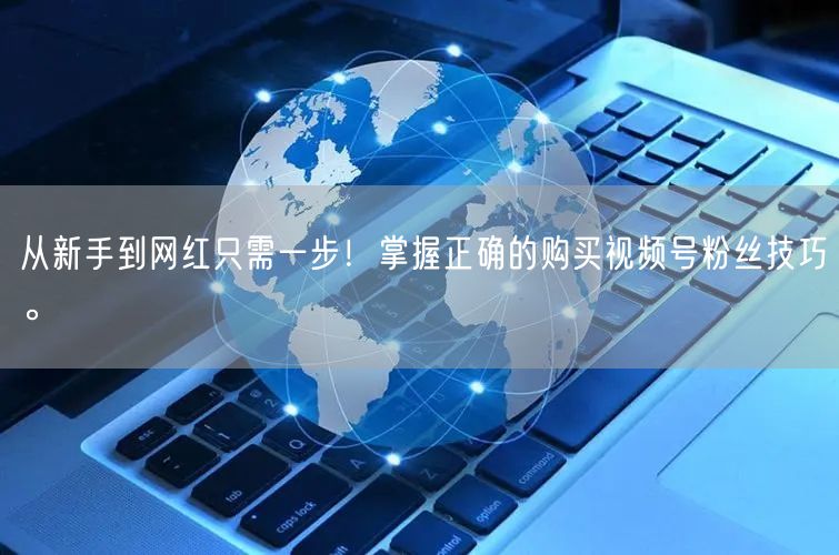 从新手到网红只需一步!掌握正确的购买视频号粉丝技巧。
