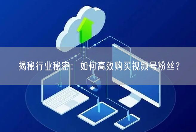 揭秘行业秘密:如何高效购买视频号粉丝?