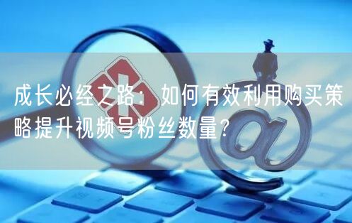 成长必经之路:如何有效利用购买策略提升视频号粉丝数量?