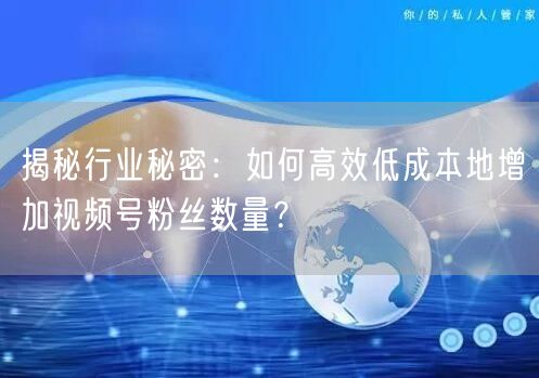 揭秘行业秘密:如何高效低成本地增加视频号粉丝数量?