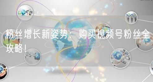 粉丝增长新姿势:购买视频号粉丝全攻略!