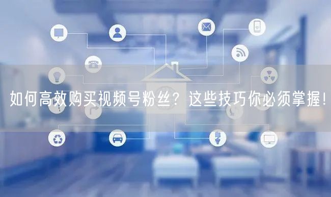 如何高效购买视频号粉丝?这些技巧你必须掌握!
