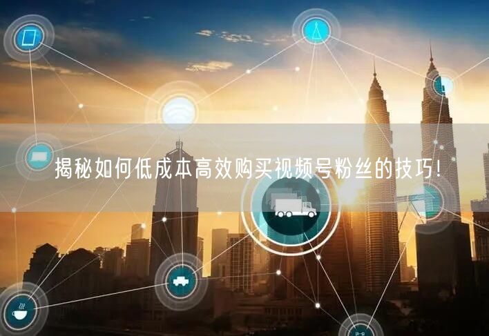 揭秘如何低成本高效购买视频号粉丝的技巧!