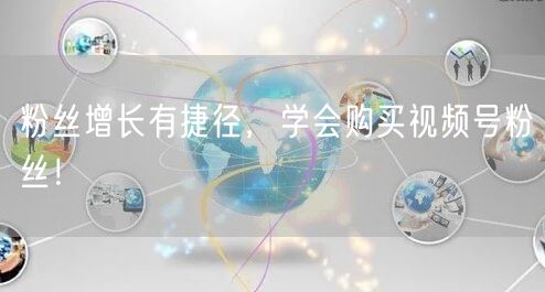 粉丝增长有捷径,学会购买视频号粉丝!