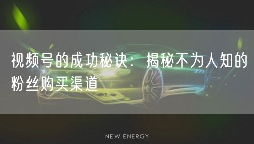 视频号的成功秘诀:揭秘不为人知的粉丝购买渠道