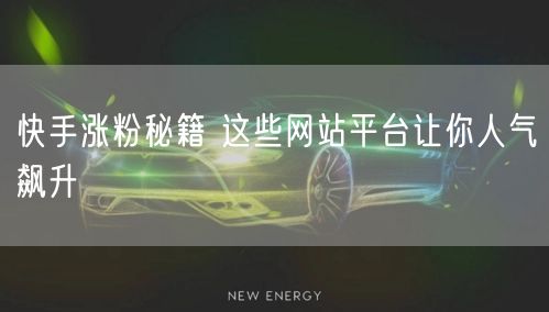 快手涨粉秘籍 这些网站平台让你人气飙升