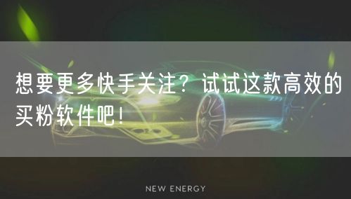 想要更多快手关注?试试这款高效的买粉软件吧!