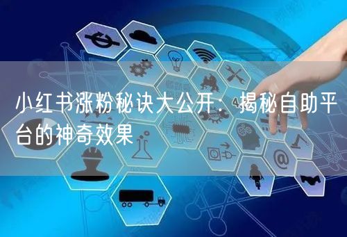 小红书涨粉秘诀大公开:揭秘自助平台的神奇效果