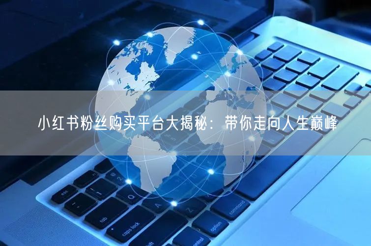 小红书粉丝购买平台大揭秘：带你走向人生巅峰