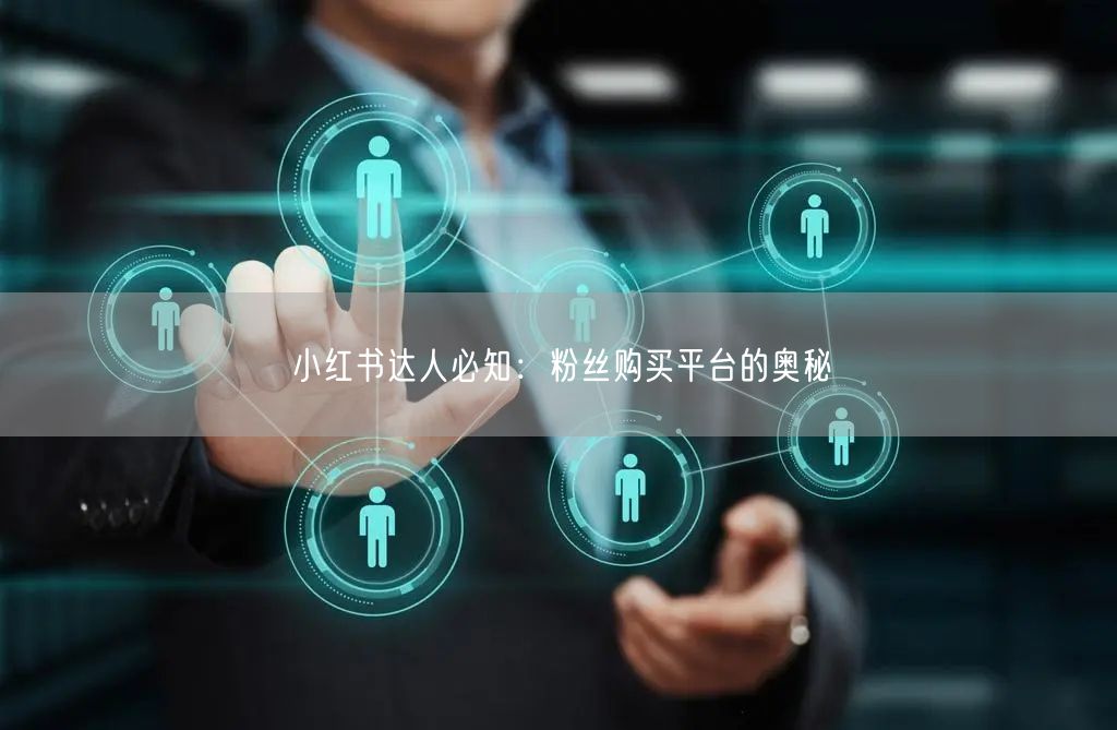 小红书达人必知：粉丝购买平台的奥秘