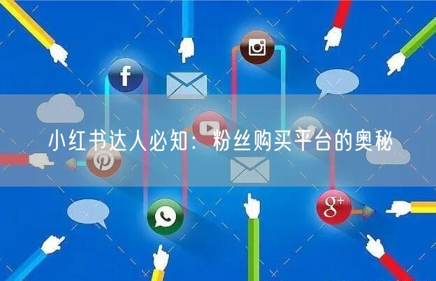 小红书达人必知：粉丝购买平台的奥秘