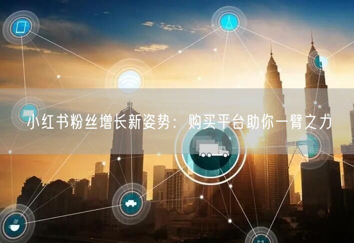 小红书粉丝增长新姿势：购买平台助你一臂之力