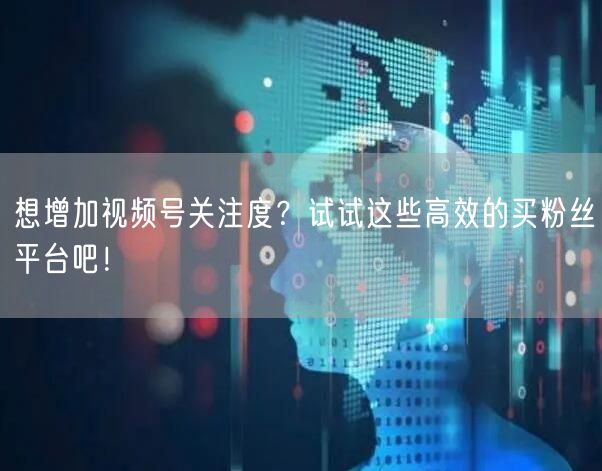想增加视频号关注度?试试这些高效的买粉丝平台吧!