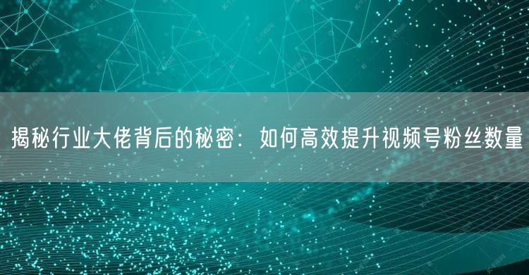 揭秘行业大佬背后的秘密:如何高效提升视频号粉丝数量