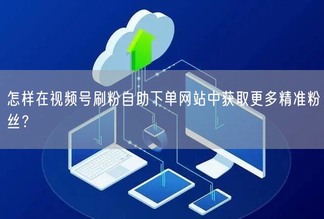 怎样在视频号刷粉自助下单网站中获取更多精准粉丝?