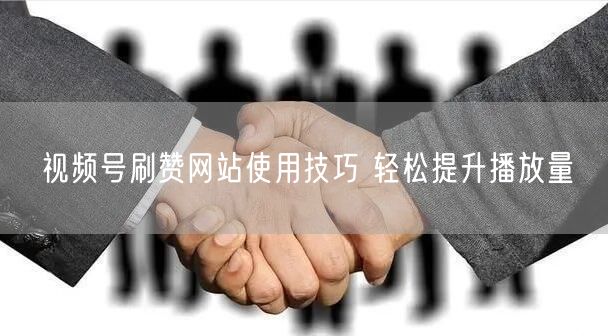 视频号刷赞网站使用技巧 轻松提升播放量